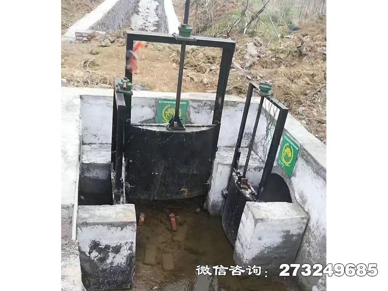 铜陵分水灌渠机闸一体闸门
